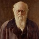 Еволюционната теория, Дарвин и религията